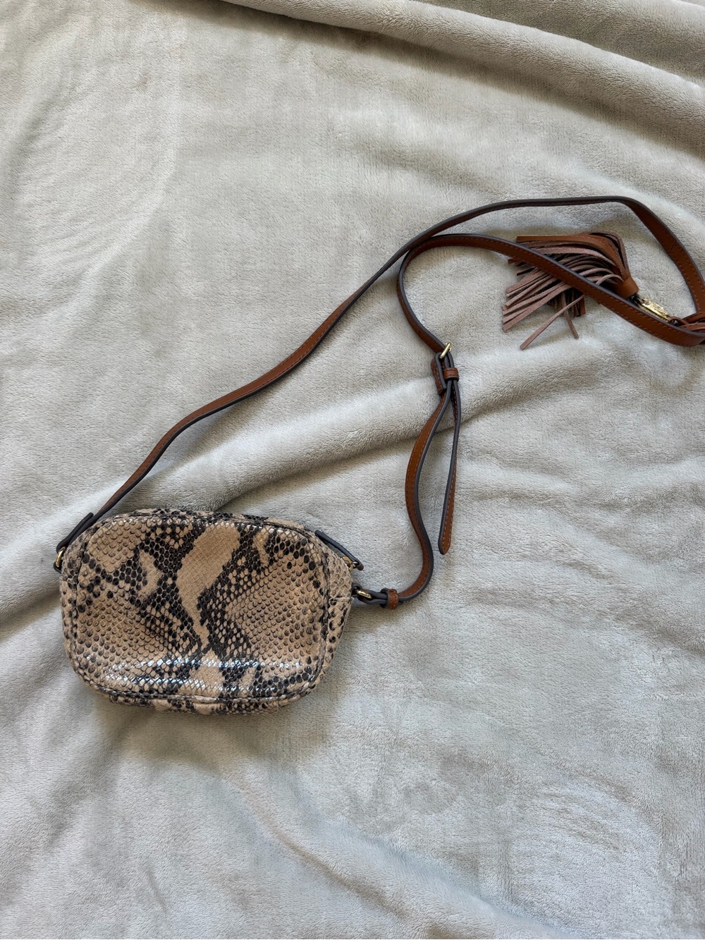 Vince Camuto Snake-Print Mini Crossbody in Beige and Brown